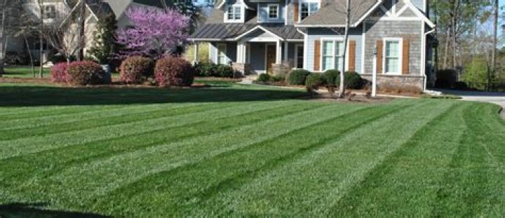 What is the best fertilizer for tall fescue