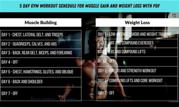 What is the best gym workout plan?