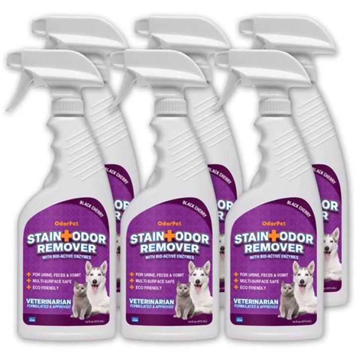 What is the best pet stain remover