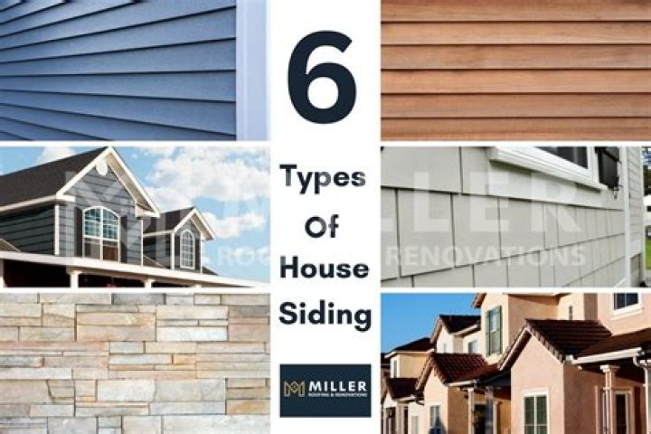 What is the best siding for a shed