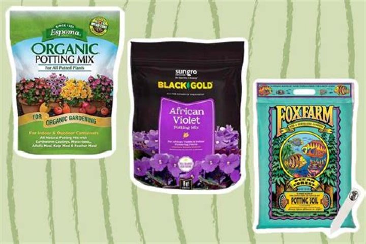 What is the best soil for indoor cannabis plants?