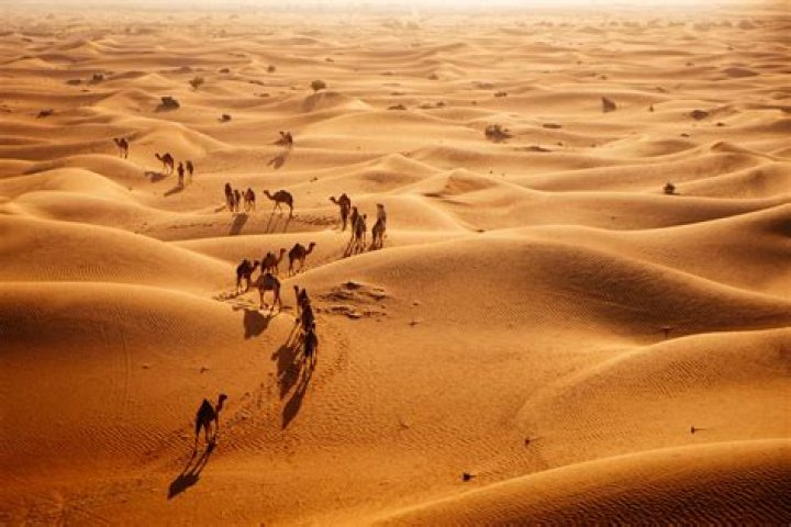 What is the climate of the Arabian desert