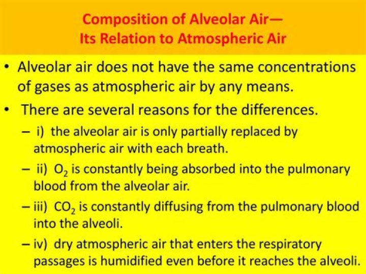 What is the composition of alveolar air