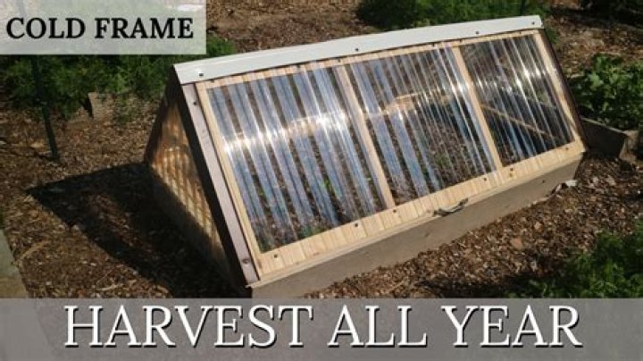 What is the difference between a cold frame and greenhouse