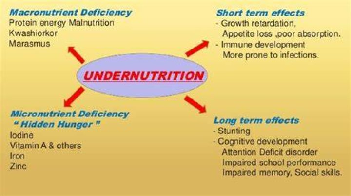 What is the difference between undernutrition and undernourishment?