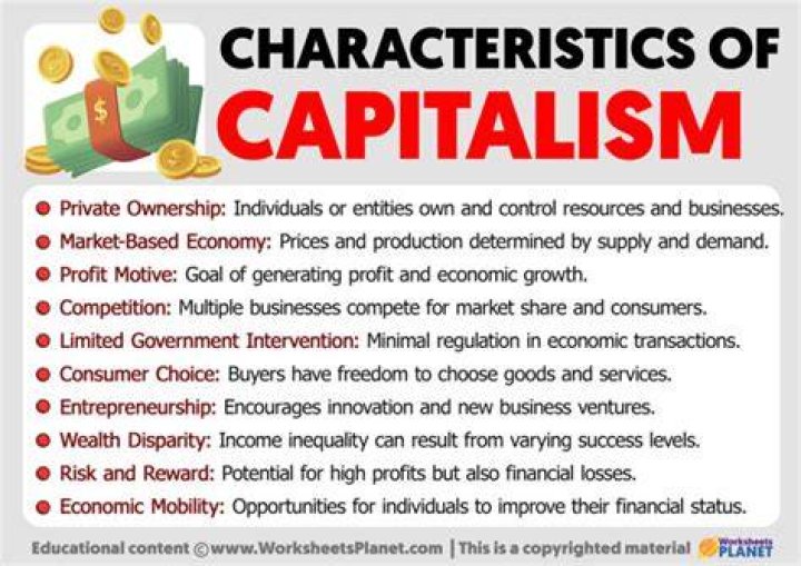 What is the etymology of the term capitalism?