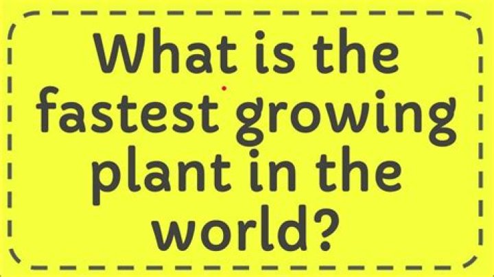 What is the fastest growing plant