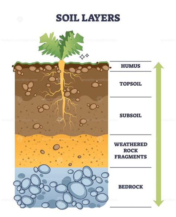 What is the function of air in the soil