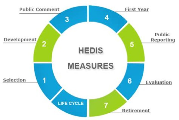 What is the hedis system and what does it measure