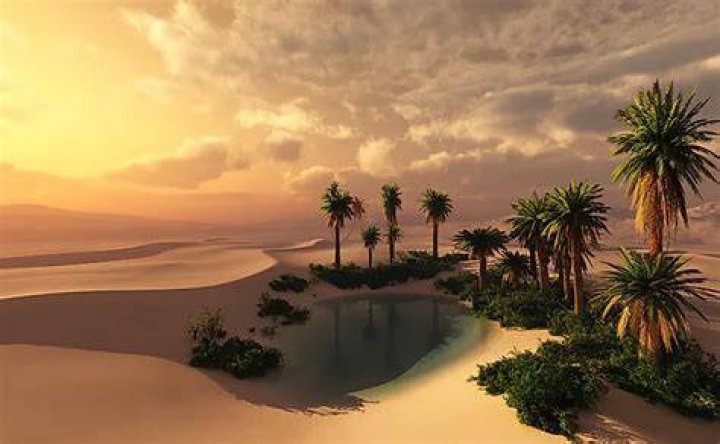 What is the importance of Oasis