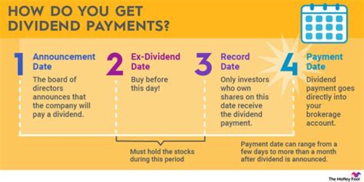 What is the informational content of dividend payments?