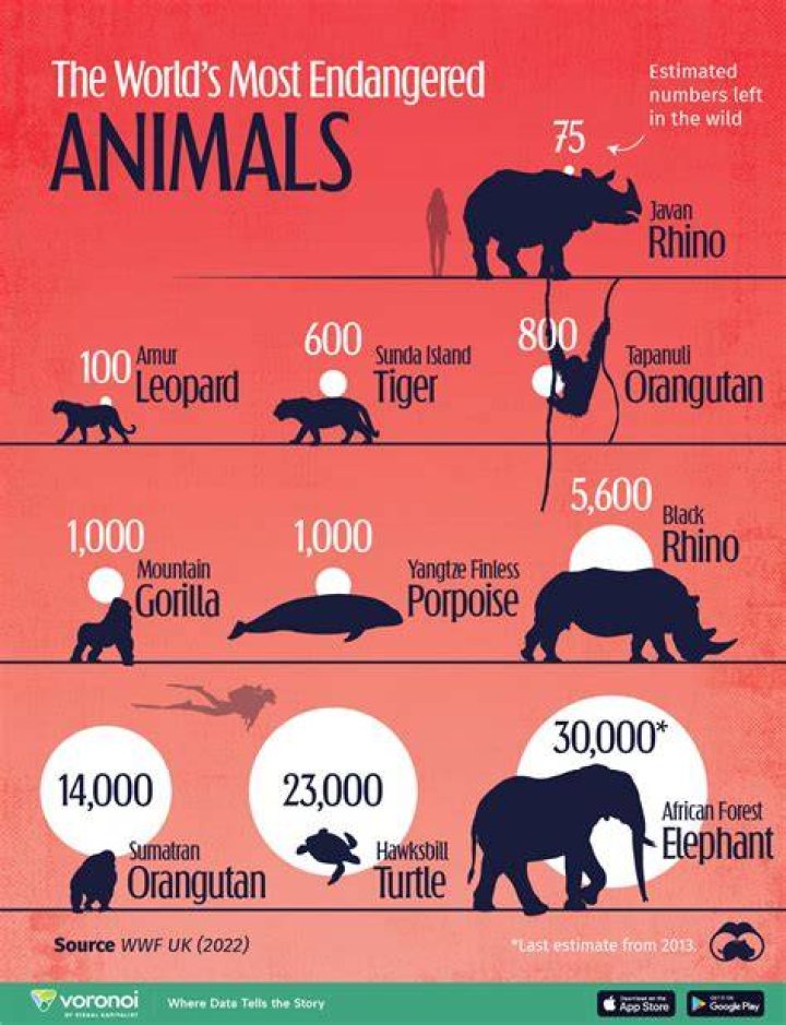 What is the issue with endangered animals