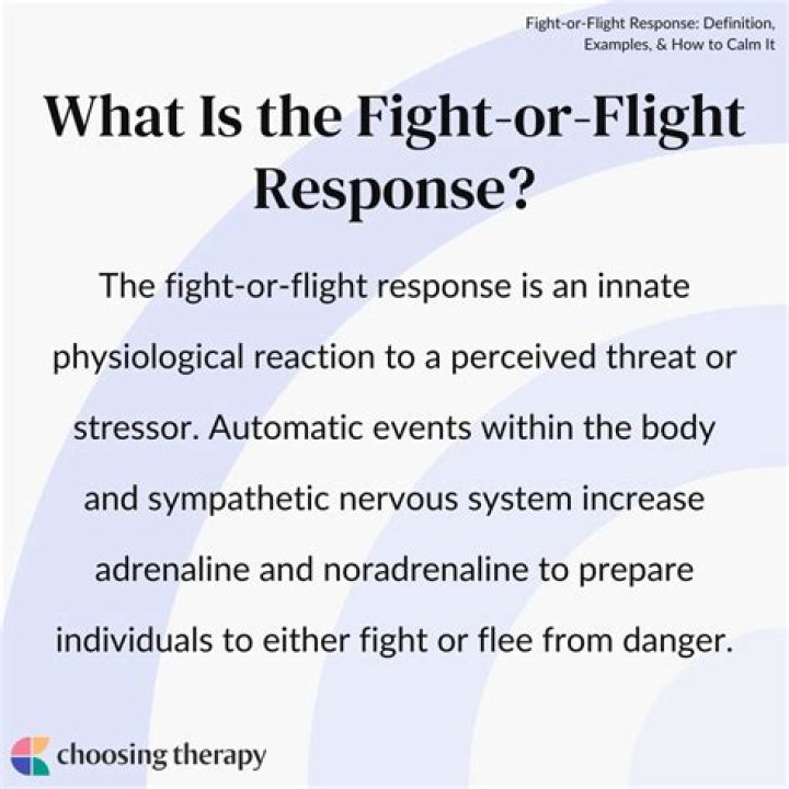 What is the meaning of fight or flight response