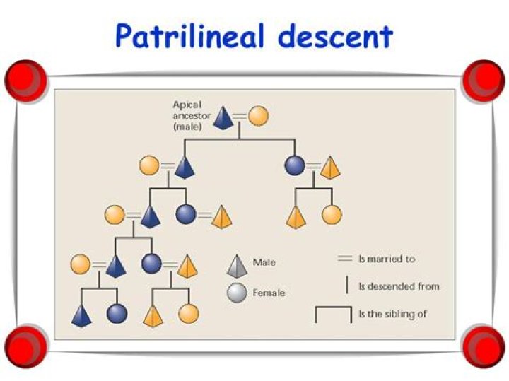 What is the meaning of patrilineal descent?