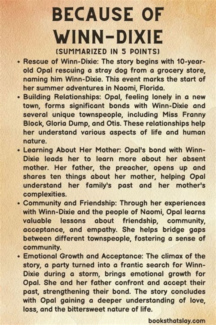 What is the moral of Because of Winn Dixie