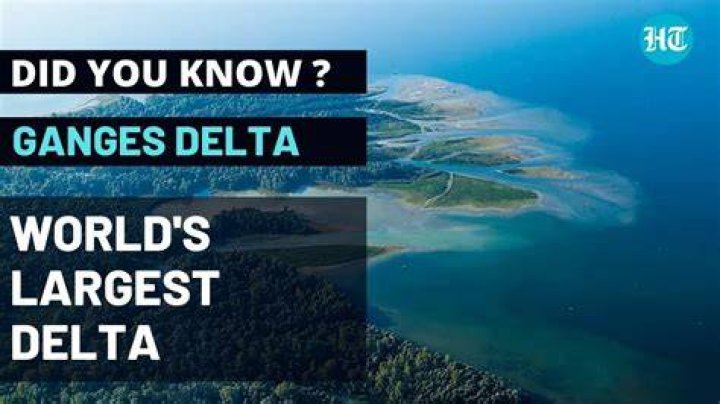 What is the most famous delta in the world?