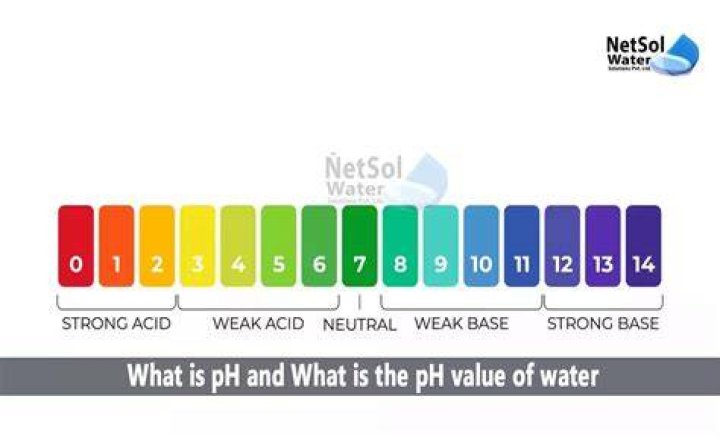 What is the pH of sugar water?