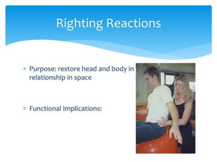 What is the purpose of righting reactions?