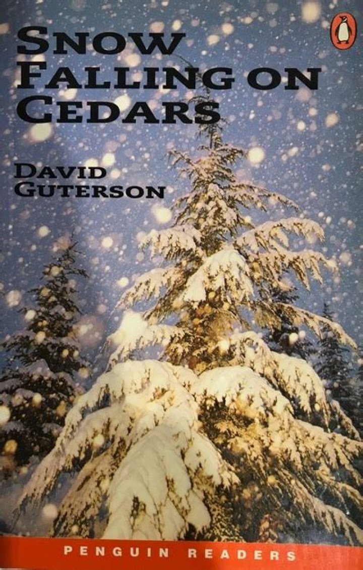 What is the setting of Snow Falling on Cedars