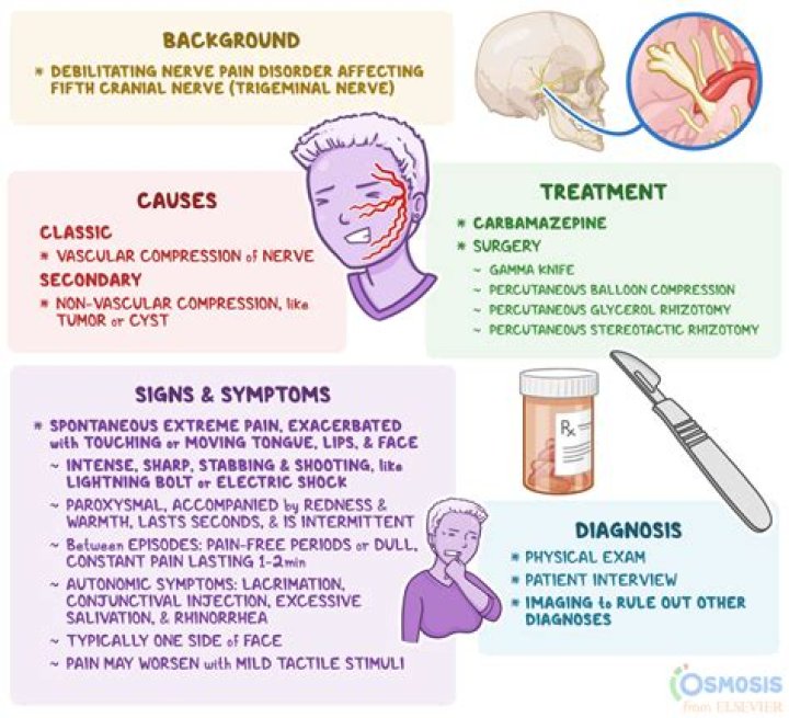 What is the trigeminal nerve?