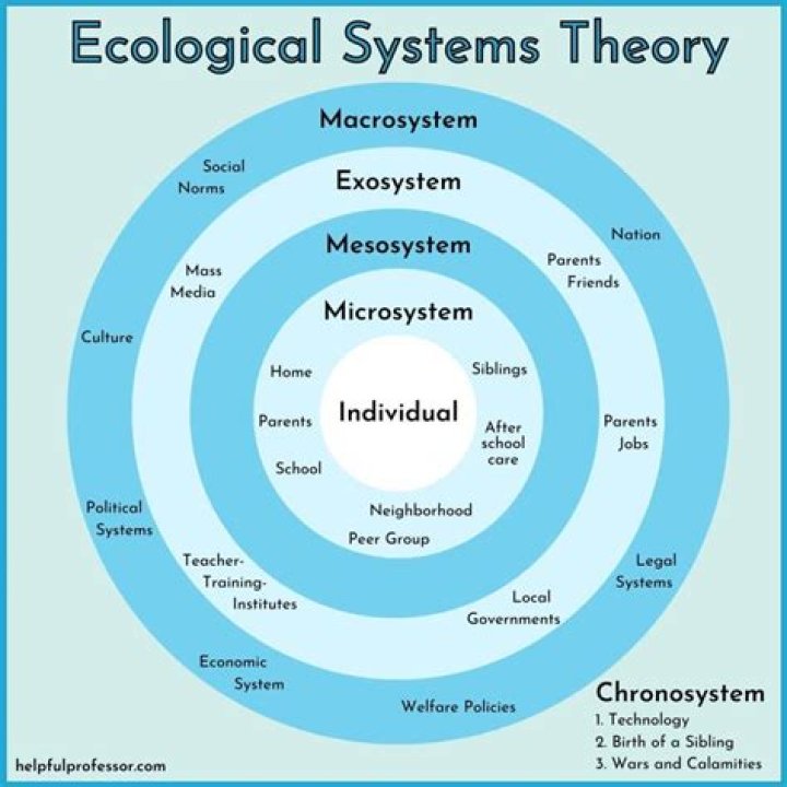 What is the unit of analysis in an ecological study