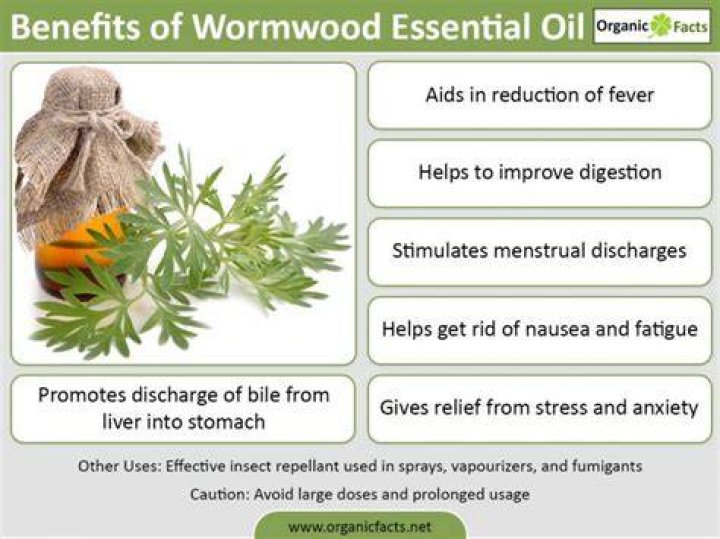 What is wormwood essential oil used for?