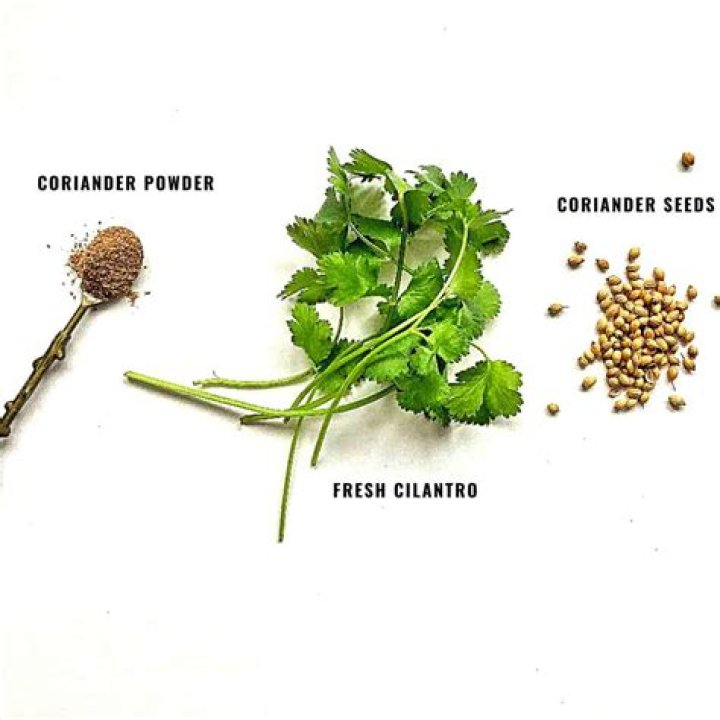 What kind of flavor does coriander have