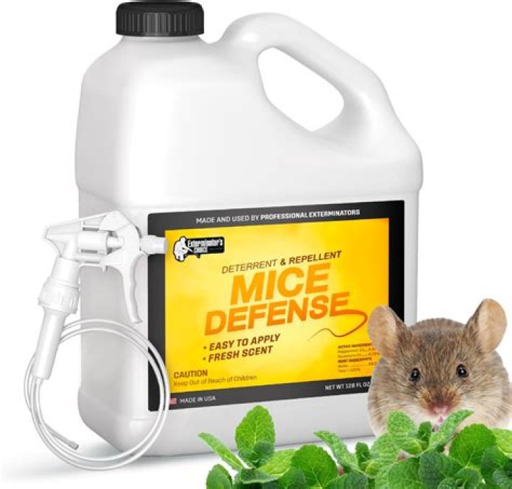 What liquid will kill mice