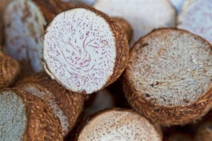 What part of the taro do we eat?