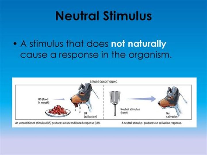 What response is caused by a neutral stimulus