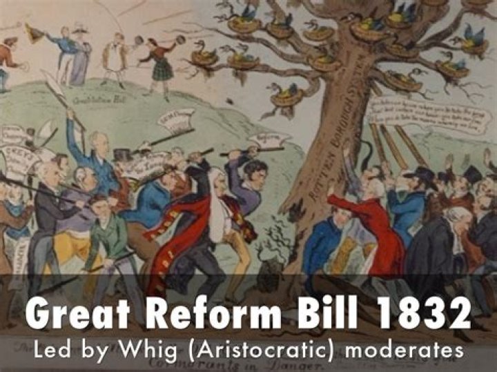 What rights did the Reform Bill of 1884