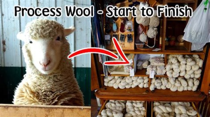 What setting is wool on an iron