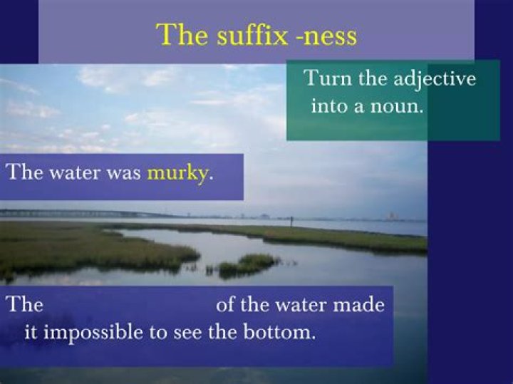 What suffix turns a word into a verb