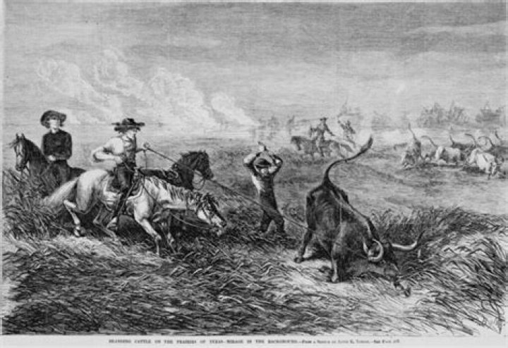 What time of year did cattle drives begin