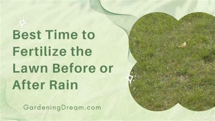 What time of year do I fertilize my lawn