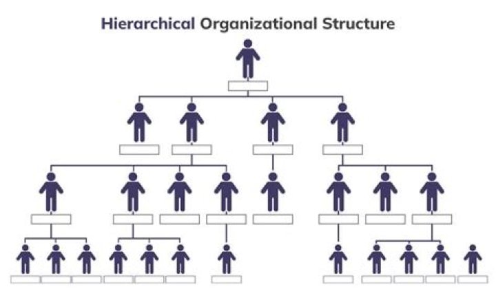 What type of organizational structure does Patagonia use
