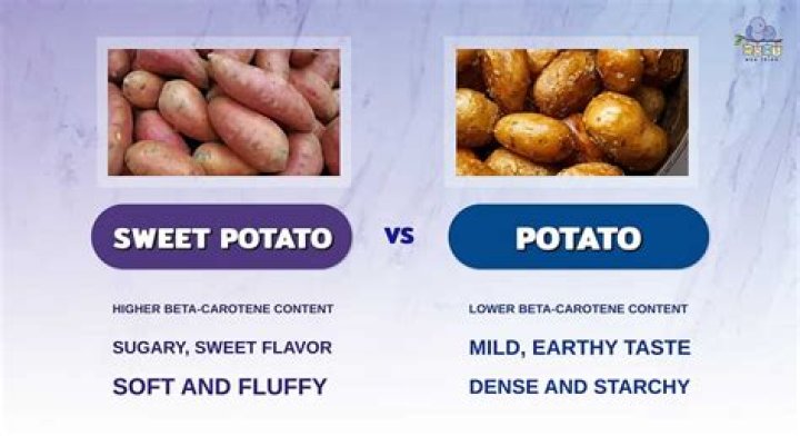 Whats the difference between sweet potatoes and normal potatoes