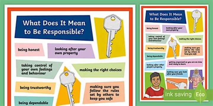 When has responsibility to protect been used