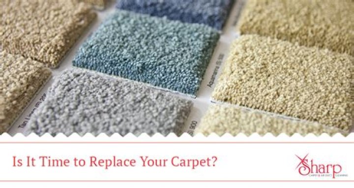 When should you replace or clean carpet