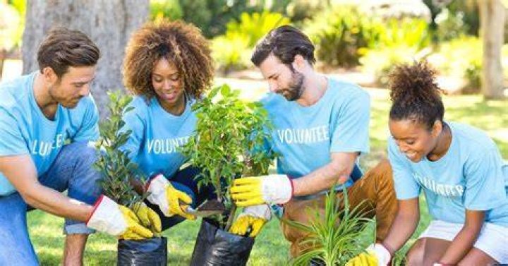 Where can I find free volunteer opportunities?