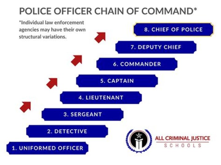 Where do warrant officers fall in the chain of command