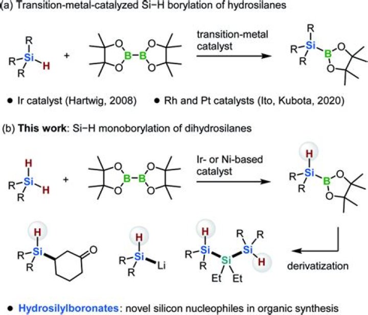 Which catalyst is used for hydrosilylation reaction?