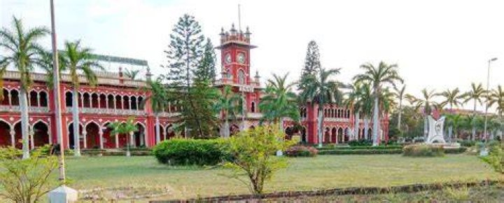 Which college is best for MSc economics in India?