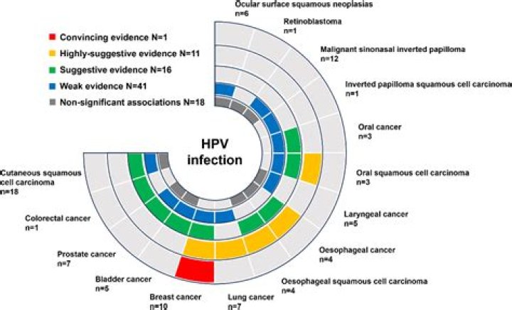 Which HPV types are most often associated with cervical and anogenital cancer