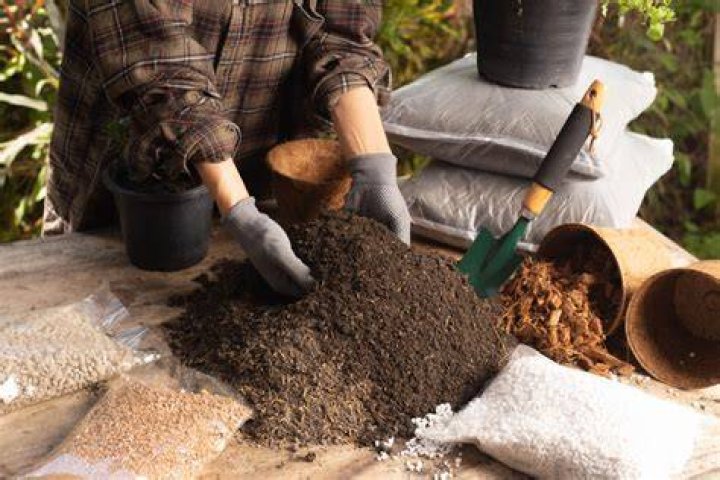 Which is a better organic material for use in a growing media