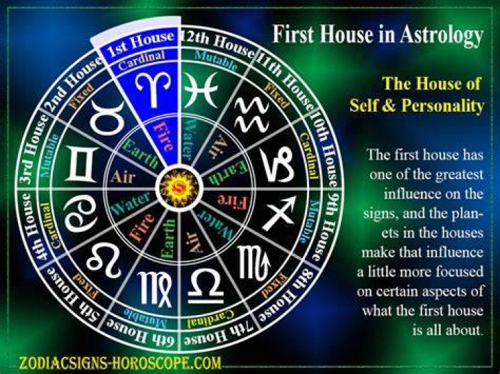 Which is the 1st house in astrology?