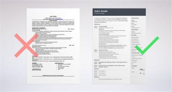 Which is the best resume in the world?