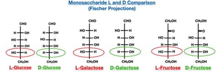 Which monosaccharide is found abundantly in fruits