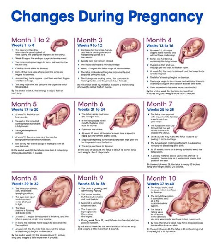 Which week is dangerous in pregnancy
