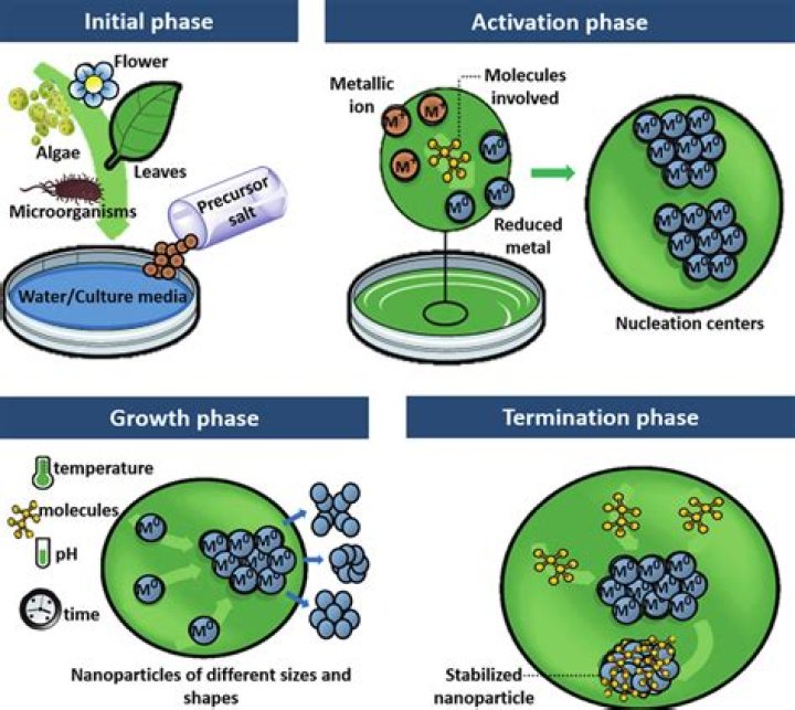 Who developed modern synthesis